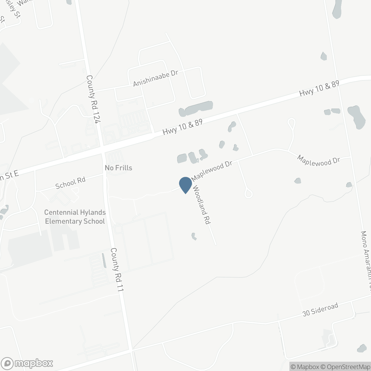 65 MAPLEWOOD DRIVE, Amaranth, Ontario L9V 3N6